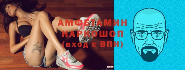 хмурый Алексин