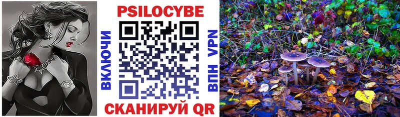 hydra ONION  Усть-Лабинск  Псилоцибиновые грибы Psilocybine cubensis  как найти закладки 